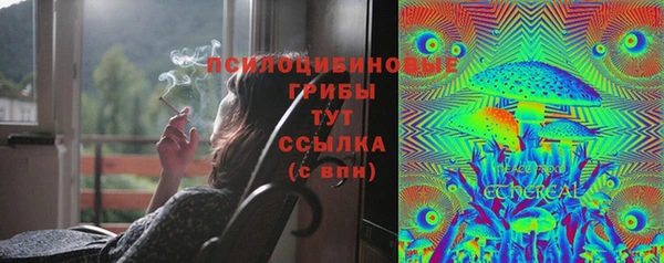 прущие крисы Алексеевка